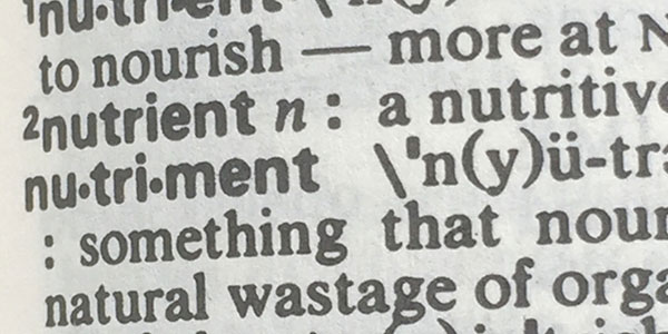 See “Healthy” Think “Nourishing”