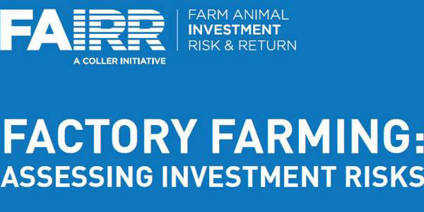 FAIRR Report Highlights Factory Farm Investment Risks